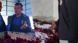 Hatay’da Mide Bulandıran Görüntüler! Salça Deposuna Baskın Yapıldı, Gıda Üretimi Pes Dedirtti