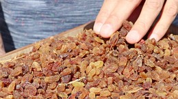 Türkiye Yolladı, Avrupa 'Zehir Saçıyor' Dedi