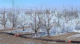 Çiftçi Borçta, Komisyondan Ses Yok! Tarım İçin Alarm Zilleri Çalıyor