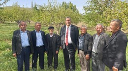 Don Felaketinin Bilançosu! Misket Elması Artık Yok