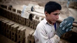 Çocuk İşçiliğiyle Mücadele Gününde Çarpıcı Rapor: 770 Çocuk Çalışırken Yaşamını Yitirdi