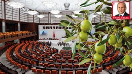 AK Parti’den Tartışma Yaratacak Teklif: Zeytinliklerde Madenciliğe Yeşil Işık
