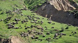 Maden Yasası Meraları Da Bitirecek