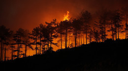 Yeşil Vatan İçin Kritik Uyarı! Yangın Riski Yüksek Seviyede