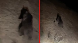 Hakkari'de ortaya çıktı, hemen telefona sarılıp görüntüledi!