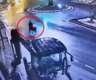 Altınları Çalıp Eşekle Kaçmıştı: Film Gibi Hırsızlıkta Ceza Belli Oldu - Resim : 2