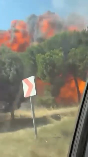 Yalova’daki F-16 Kazasında Yeni Görüntüler Ortaya Çıktı, Ağaçlık Alanda Yangın Çıkmış - Resim : 1