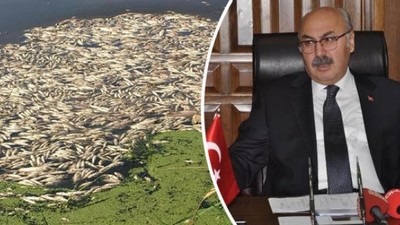 Aydın Valisi toplu balık ölümlerinin nedenini açıkladı