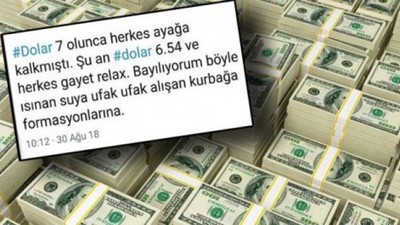 O ünlüden dolar paylaşımı: İyiye gitmiyor...