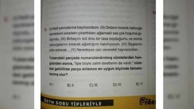 Kedilere işkenceyi 'normalleştiren' soru kaldırılmış