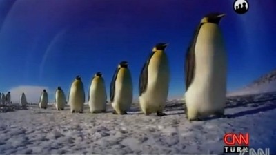 İşte Gezi'de CNN Türk'ün penguenlerinin arkasındaki isim