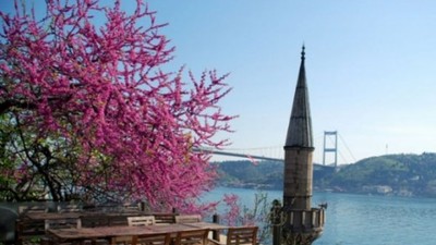 Ünlü şairlerimizden erguvan şiirleri