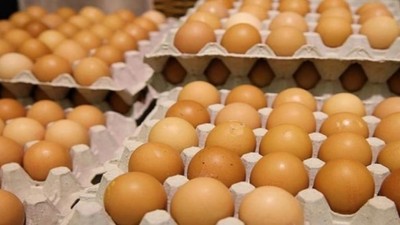 Yumurtanın neden ucuzladığı belli oldu