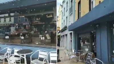 Kraliçelerini arayan arılar şehirde panik yarattı