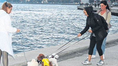 Hülya Avşar'dan Zehra Çilingiroğlu'yla ilgili evlilik açıklaması