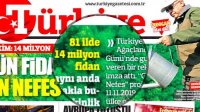 Havuz medyasının fidan yarışı... 'Yok mu arttıran?'