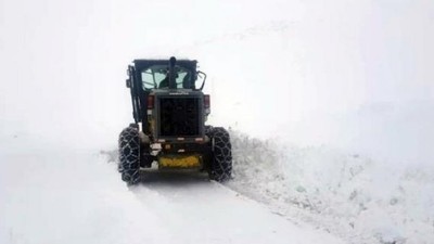 Bingöl'de 180 köy yolu kardan kapandı