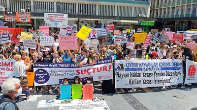 Yaşam savunucuları: 'Bu yasa hayvanlara katliam, sürgün ve zulüm getirecek'