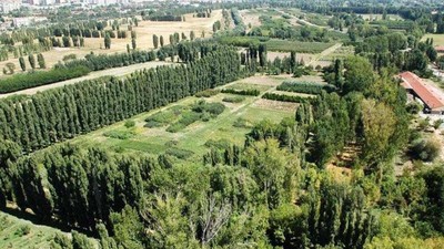 AKP'nin Atatürk Orman Çiftliği ısrarı: İptal edilen yol yapımı yeniden gündemde!