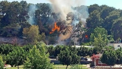 Antalya'da orman yangını