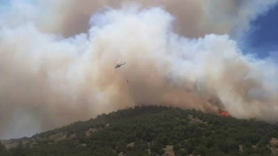 Osmaniye ve Kahramanmaraş'ta orman yangınları