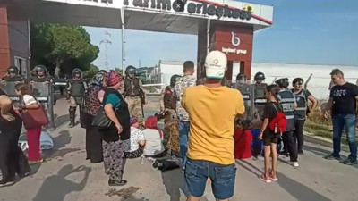 Agrobay işçilerine jandarma saldırdı