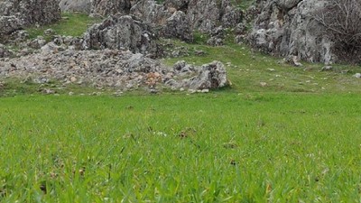 Kahramanmaraş'a akın akın geliyorlar: Yoğun ilgi görüyor!