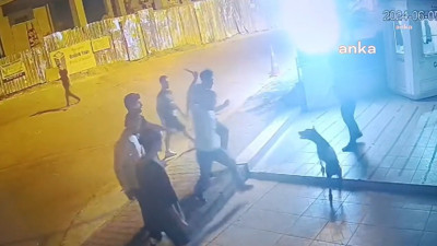 İstanbul'da güvenlik görevlisine ve köpeğine saldırı: Haklarında 'yağma' suçundan işlem yapıldı