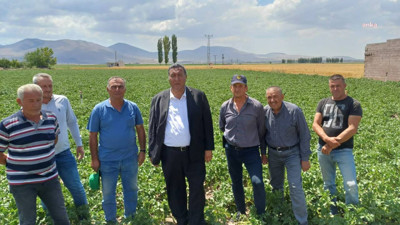 Tarladan Uyarı Geldi: 'Patates Komple Dökülür, Üretici Tarladan Çekilir'