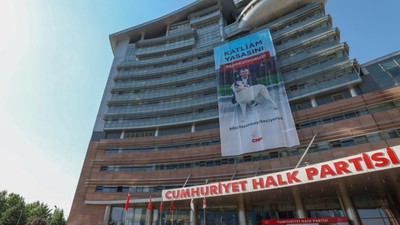 CHP'li Belediyeler Sokak Hayvanları İçin Akım Başlattı: Katliama Ortak Olmayacağız
