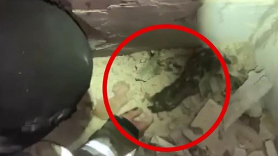Hava Saldırısından Sağ Kurtulan 4 Yavru Kedi Kurtarıldı