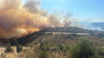 İzmir'de Orman Yangını