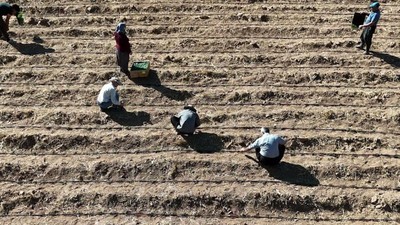 Babası Bile Başaracağına İnanmadı, Tüm Köy Dalga Geçti: Kazmayı Vurduklarında Gördüklerine İnanamadılar