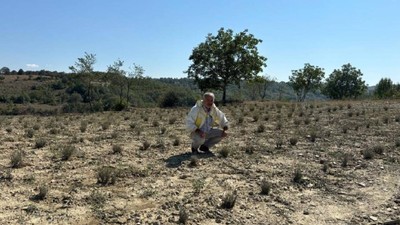 Hobi Olarak Başladı Şimdi Siparişleri Yetiştiremiyor! Kilosunu 400 Liradan Satıyor