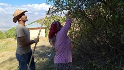 Zorlu Arazide Hasat Başladı: Köylüler Elleriyle Topluyor, Kalbi Saat Gibi Tıkır Tıkır Çalıştırıyor