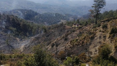 Muğla Üç Gündür Alevlere Teslim!