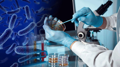 Bilim İnsanlarından 'Ayna Bakteri' Uyarısı! Eşi Benzeri Görülmemiş Tehdit... 'Çalışmaları Durdurun, Dünyayı Yok Edebilir!