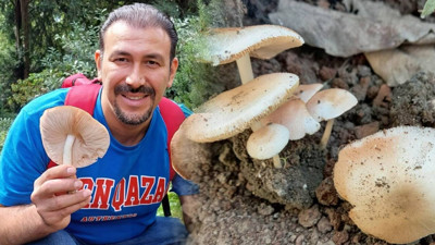 Türkiye'de Keşfedilen Mantar Literatüre Geçti! Dünyaya Duyurulan Mantara Bulunduğu Şehrin Adı Verildi