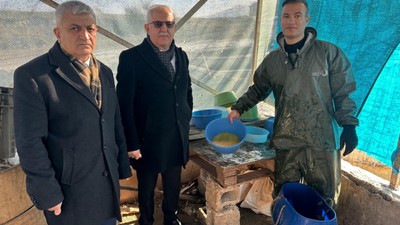 Soğuk Havada Alabalık Sağımı Van'da Gerçekleşti