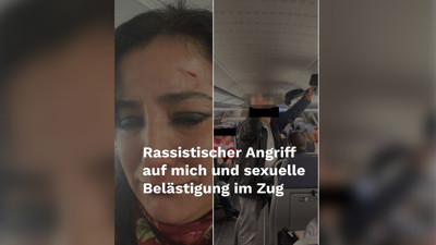 Almanya Sol Parti Milletvekili Gökay Akbulut'a Saldırı