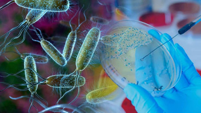 DSÖ 'Küresel Tehdit' Kabul Etmişti: Devrim Niteliğinde Keşif! Antibiyotik Tedavisine Alternatif Buldular