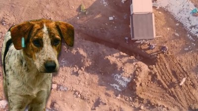 Türkiye'yi Ayağa Kaldıran Görüntülere Erzincan Belediyesi'nden Açıklama