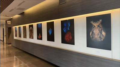 'Okyanusların Mirası' Sergisi Sanatseverlerle Buluştu