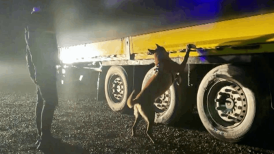 Sakarya'da Ele Geçirildi, Değeri Tam 2 Milyon 450 Bin Lira