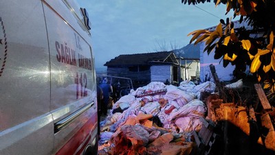 Ahırda Sır Dolu Ölüm: Cinayet mi İntihar mı?
