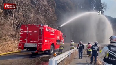 Japonya'nın Kuzeydoğusunda Orman Yangını: 2 Bin 100 Hektarlık Alan Küle Döndü