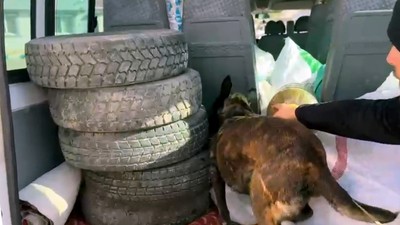 Lastiklerin Arasından 10 Kilo Uyuşturucu Çıktı, 'Şeker Sandım' Dedi