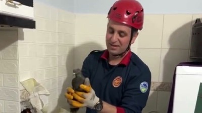 Bacada Mahsur Kalan Güvercini İtfaiye Kurtardı