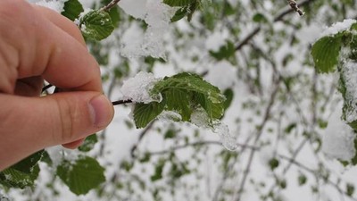 Meteoroloji'den Flaş Zirai Don Uyarısı