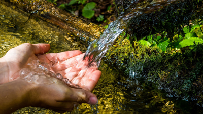 Avrupalıların Lıkır Lıkır İçtiği En Şifalı Su Meğer Türkiye’deymiş! Faydaları Say Say Bitmiyor: O Şehrimizden Fışkırıyor